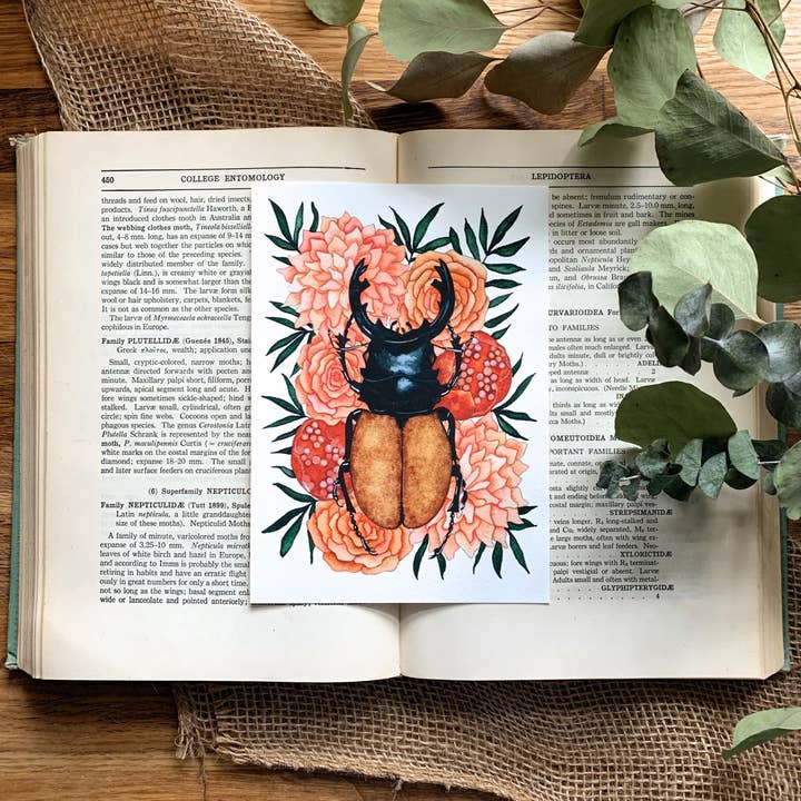 Candace Fincher - Wholesale Art print - Insect Art Print Of Stag Beetle, Insect Taxidermy, Entomology, Beetle Boho Wall Decor4