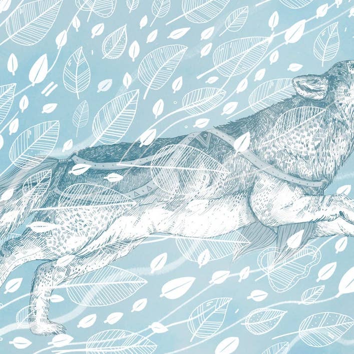 Wild Wind // Signed Print for wholesale by Sandra Dieckmann