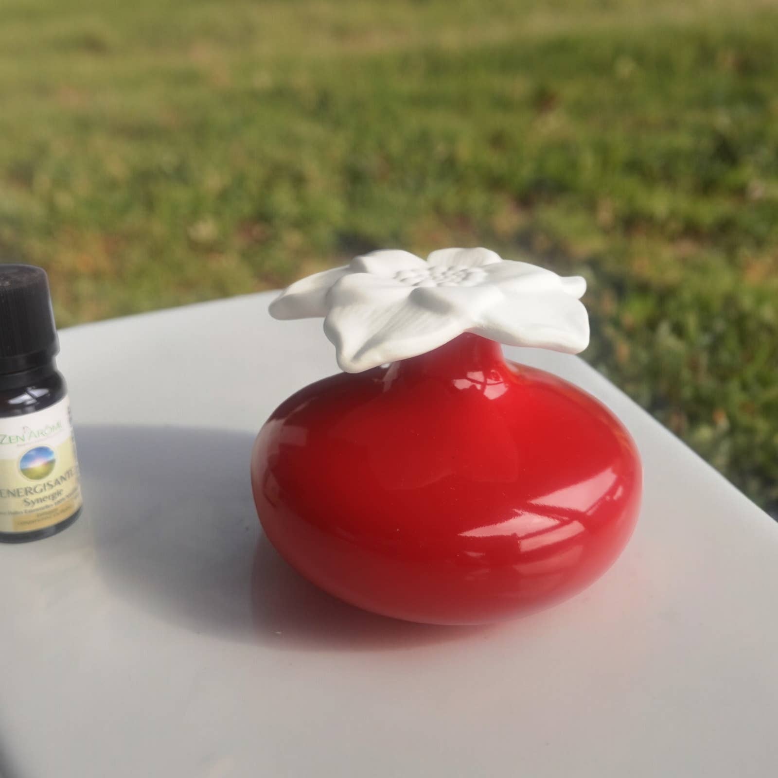 Zen'Arôme - Wholesale Reed Diffuser - Red Narcissus Capillary Fragrance Diffuser5