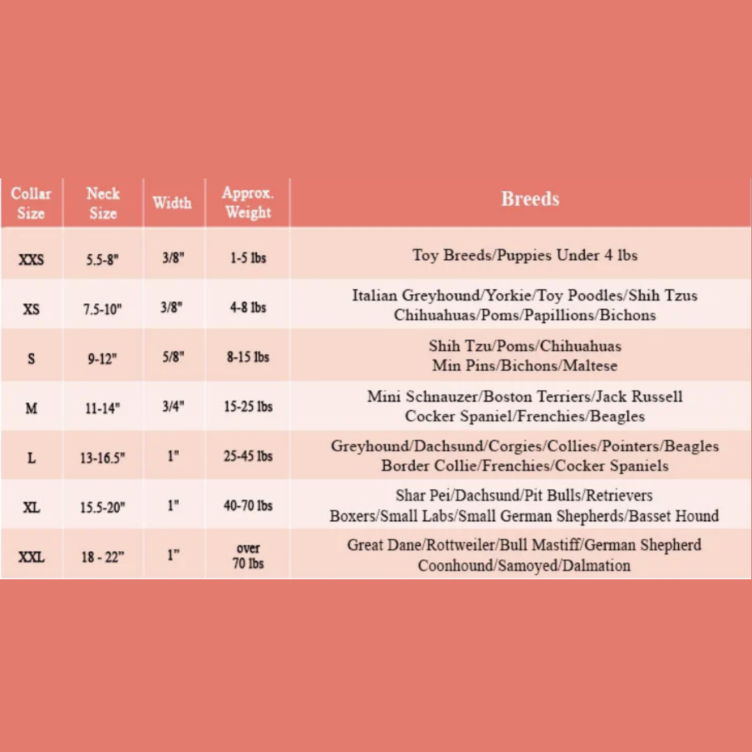 House of FurBaby - Vente Collier – chat et chien - Collier pour animal personnalisé en suède - 3 options de couleur6