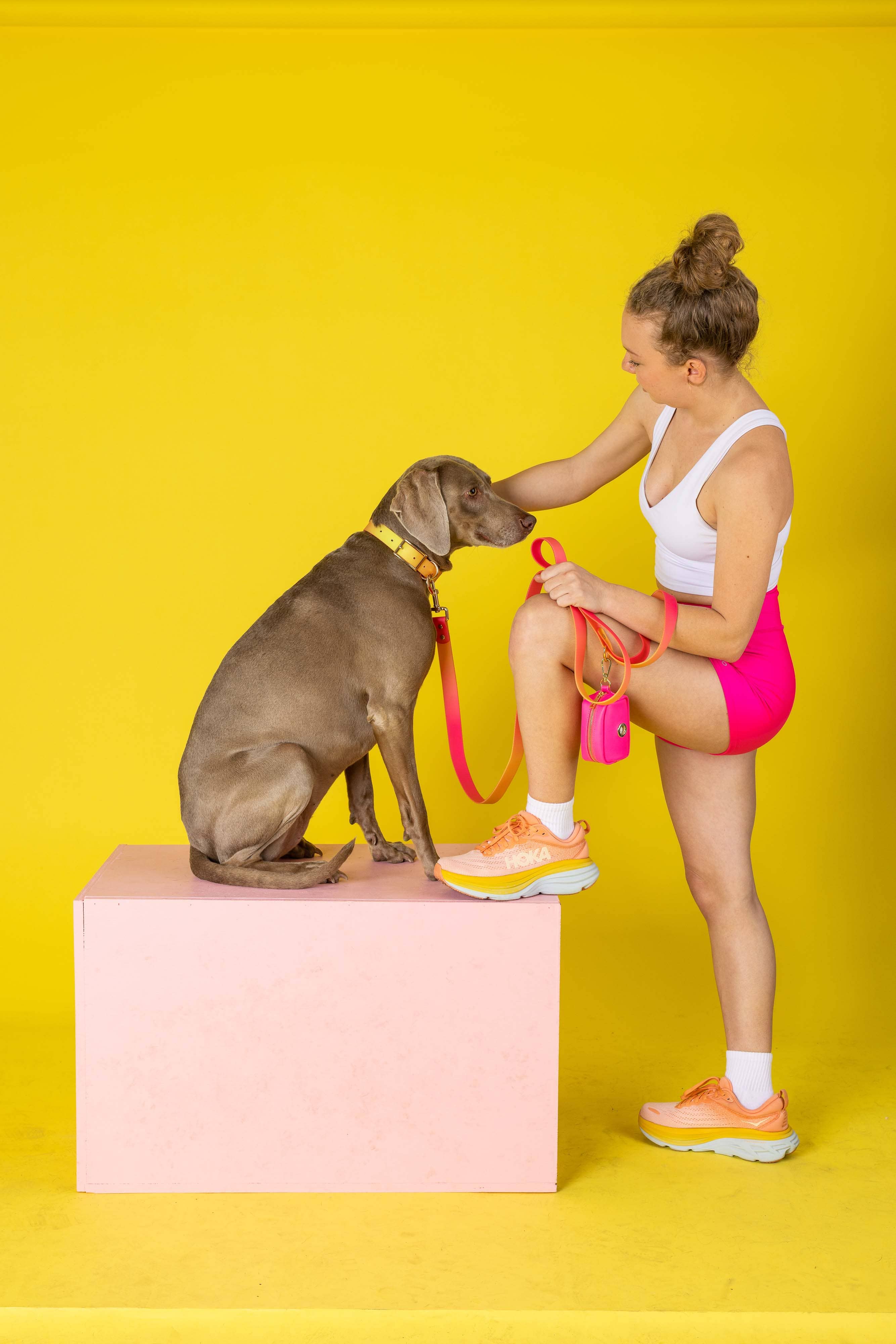 Pink Papyrus | Premium, Durable, & Stylish Dog Products – coleira - Cão por atacado – Coleira para Cão à Prova de Água e Fácil de Limpar Katelin All Weather16