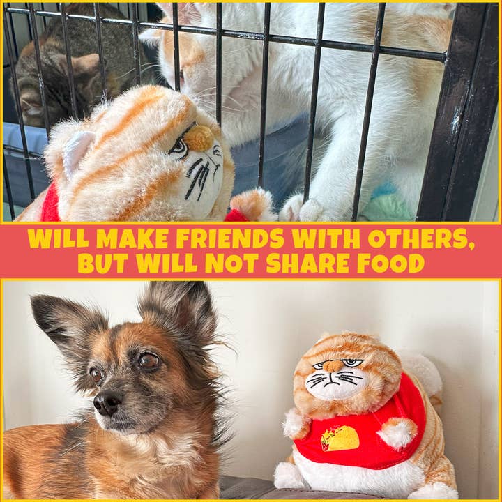 Kurated Korner - Wholesale Stuffed/plush toy – Kids & baby - Attatoy Chonky Kitten Weighted Plush1