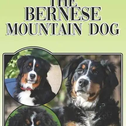 Books by splitShops - Wholesale Book - Adult - The Bernese Mountain Dog: A Complete and Comprehensive Beginners Guide To: Buying, Owning, Health, Grooming, Training, Obedience, Understanding - Paperback0