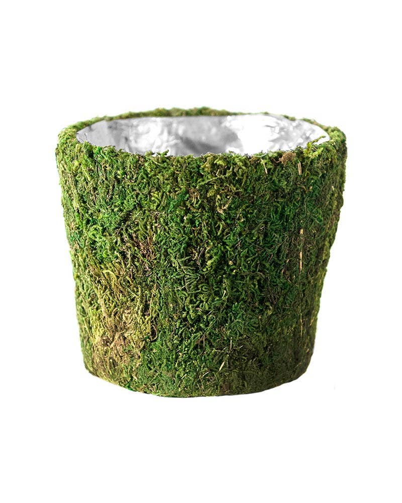 Verde Fresco Cestino Carmel Deco in vendita all'ingrosso su Faire