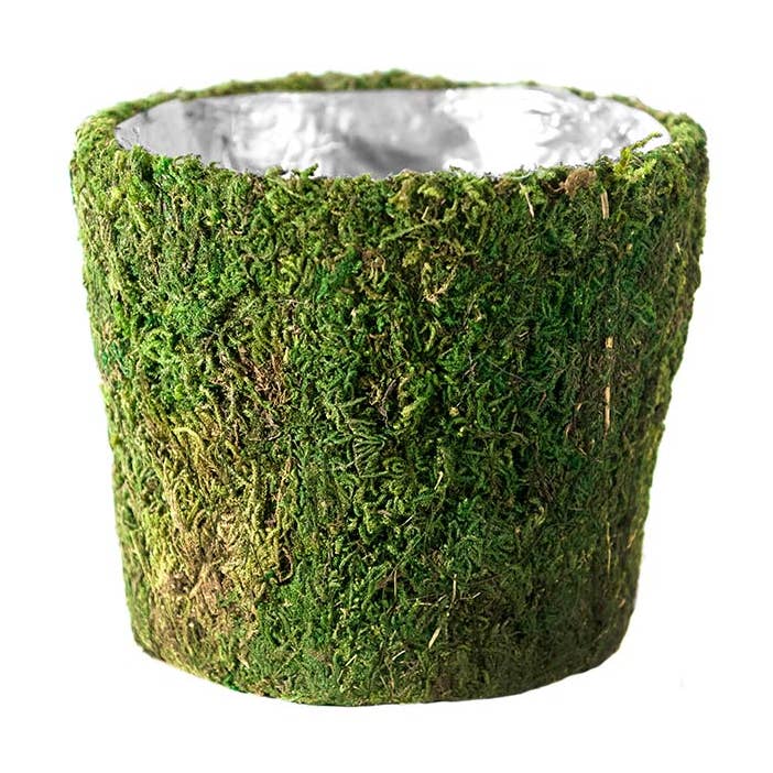 Verde Fresco Cestino Carmel Deco in vendita all'ingrosso su Faire0