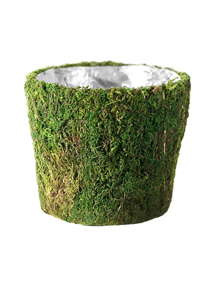 Cestino Carmel Deco per la vendita all'ingrosso da parte di SuperMoss