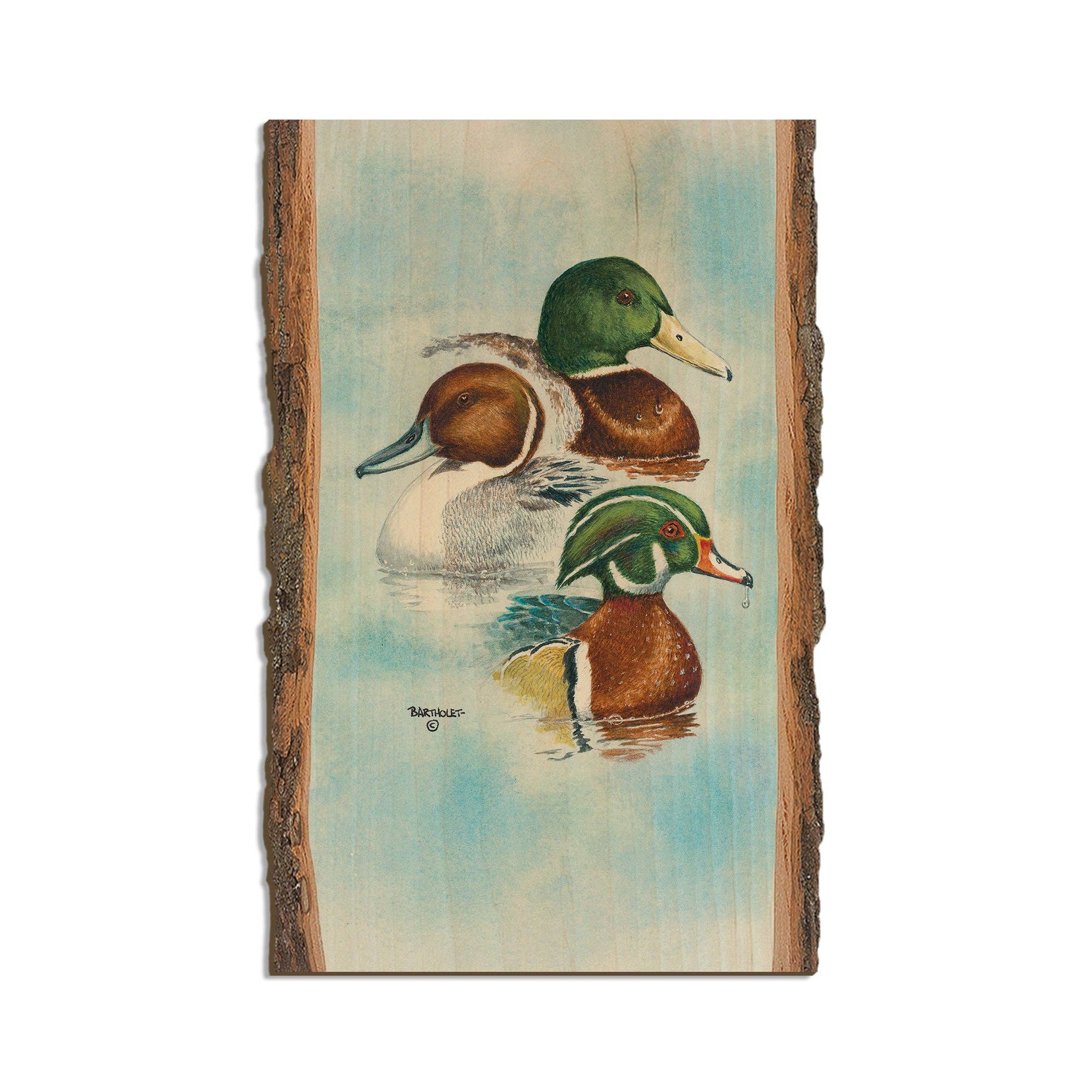 DaydreamHQ - Wholesale Art Print - Bartholet's Puddle Duck Trio  - Live Edge4