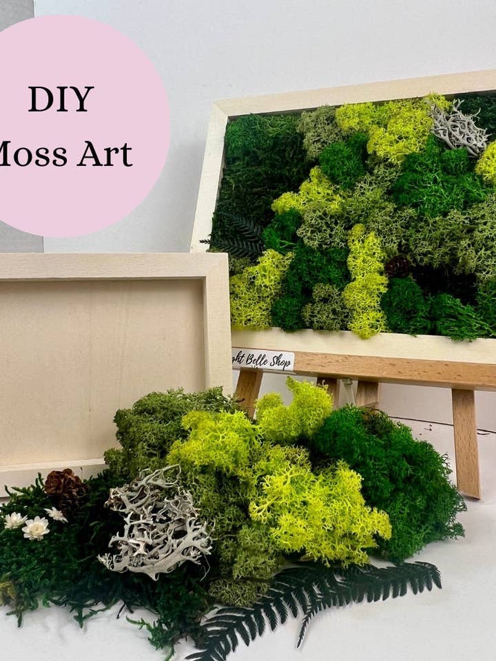 DIY Moss Wall Art Kit | Nature Lover Gift for wholesale by Bright Belle