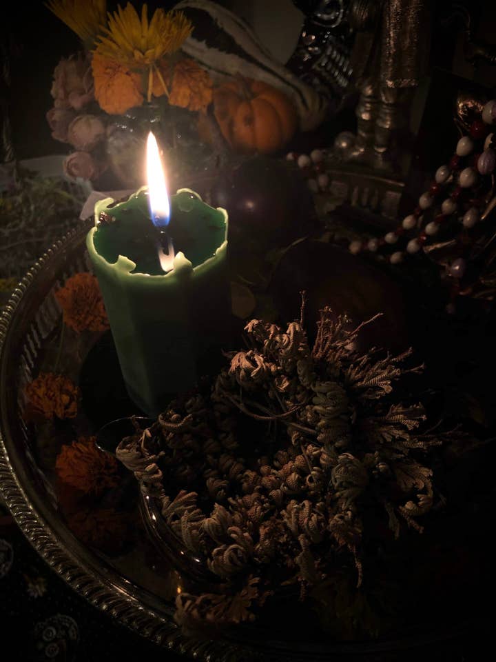 Bougie Pilier Rituel de Croissance et d'Abondance, Ensemble Rose de Jéricho pour la vente par BlakByrd Botanika