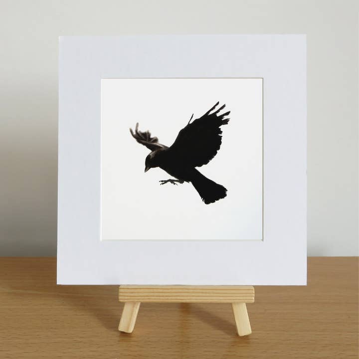 Limited Edition Jackdaw Print, Hand Signed and Numbered for wholesale by Drawing In Dark