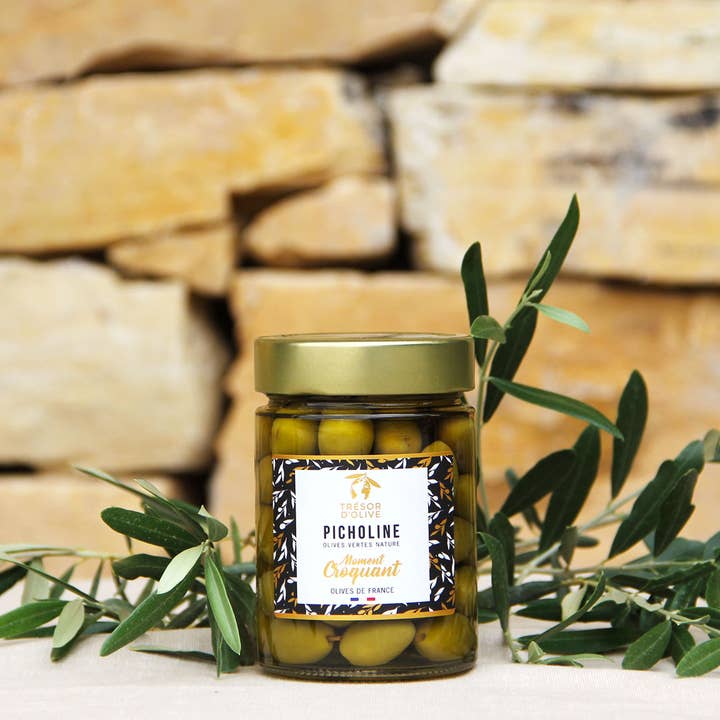 Trésor d'Olive – wholesale Olives – Natural green olives - Picholine variety