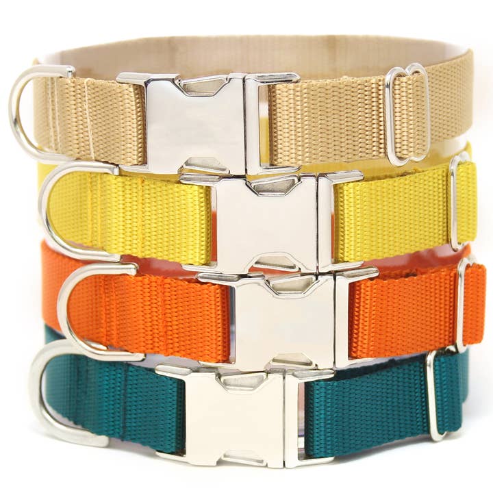 Fall Colors Webbing hondenhalsband, zilverkleurige metalen gesp voor wholesale door Zaley Designs