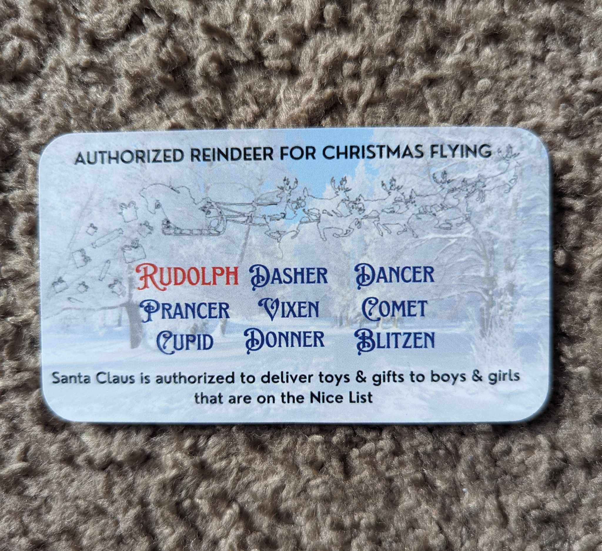 Snowfall Ridge LLC Accessories - Wholesale Christmas Decoration - White Santa Evidence Kit 4