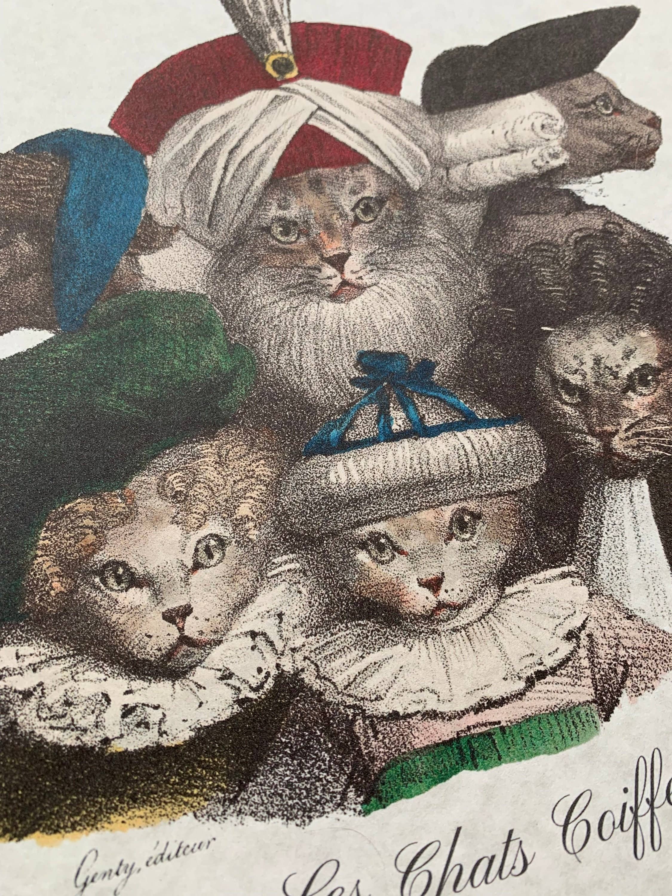 Magnifique Hearts – Großhandel Kunstdruck – Kunstdrucke, niedliche Haustiere, Vintage-Stil, Katzen und Hunde1