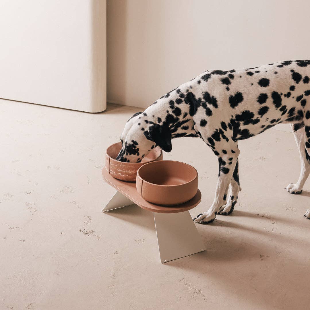 PINO – Engroshandel Kæledyrsskål – Hund – Klassisk skål37