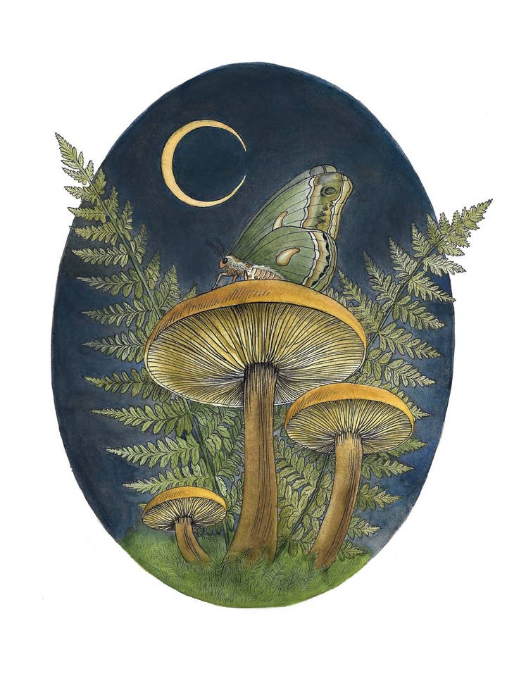 Watercolor Mushroom Art With Moth And Fern, Botanical Illustration Of Ferns, Moth, And Mushrooms, Office And Living Room Decor for wholesale by Kyla Rae Design
