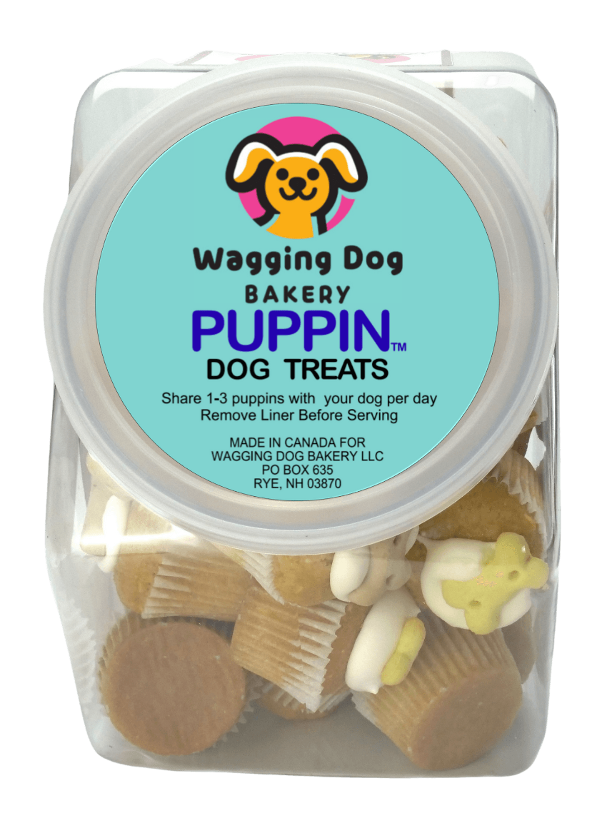 Wagging Dog Bakery - Wholesale Pet Treats - Dog - Puppin Cupcake Dog Treats -  24 Count Jar0