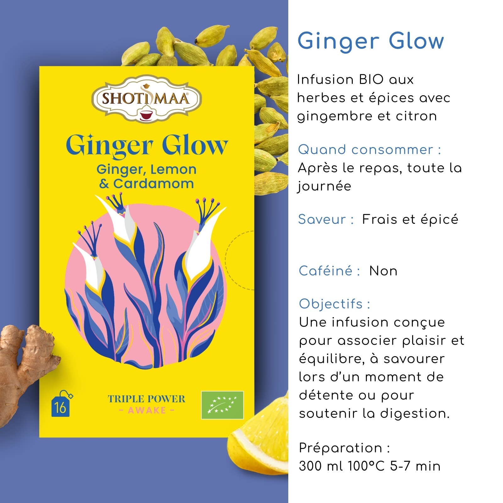 Zen'Arôme - Wholesale Health/Detox Tea - Ginger Glow – Organic infusion ginger, lemon & cardamom1