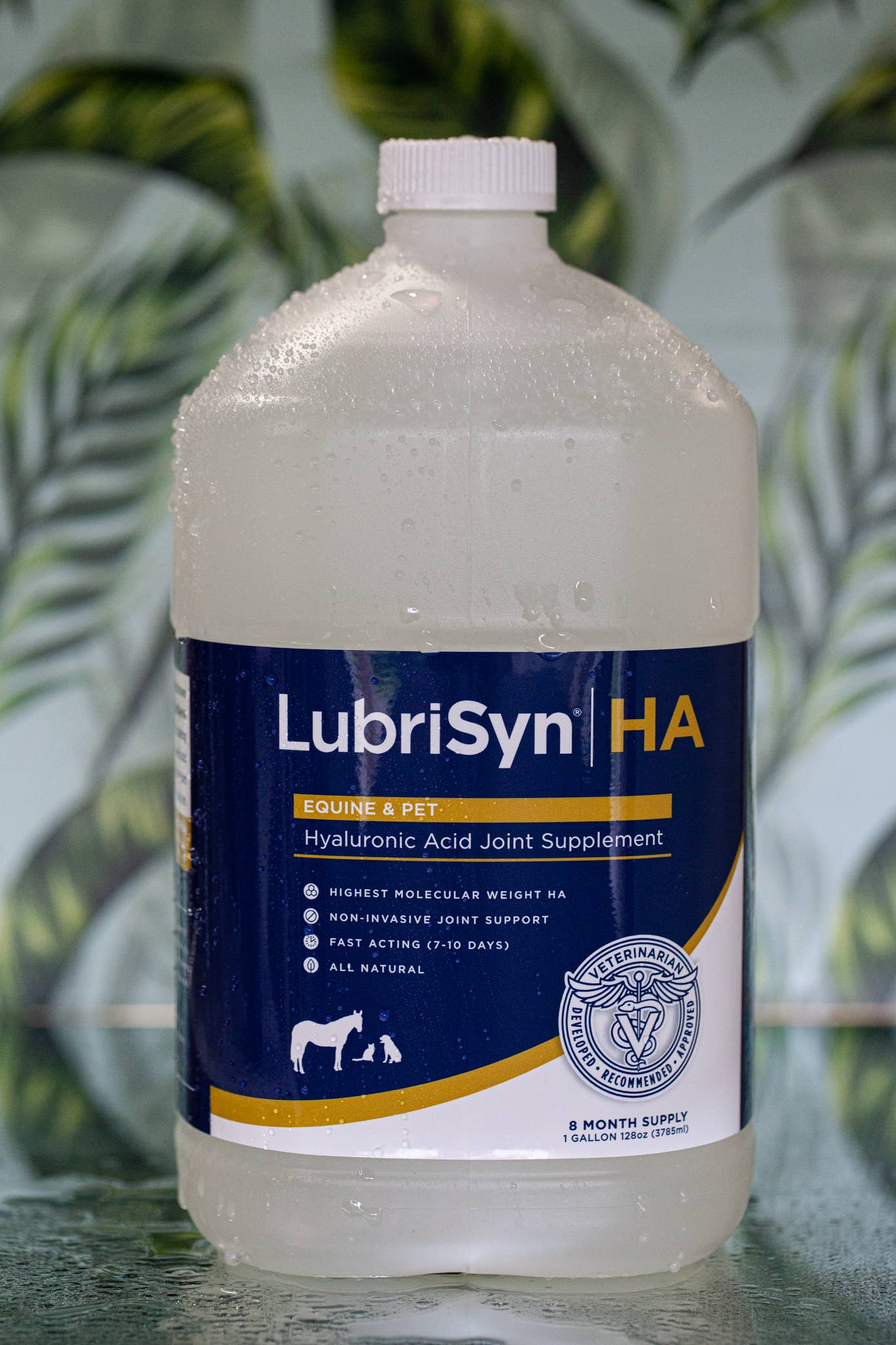LubriSyn - Wholesale Pet Supplement - Cat/Dog - LubriSynHA Hyaluronic Joint Supplement for Pets & Horses