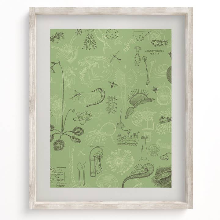 Cognitive Surplus - Wholesale Art Print - Carnivorous Plants Museum Print0