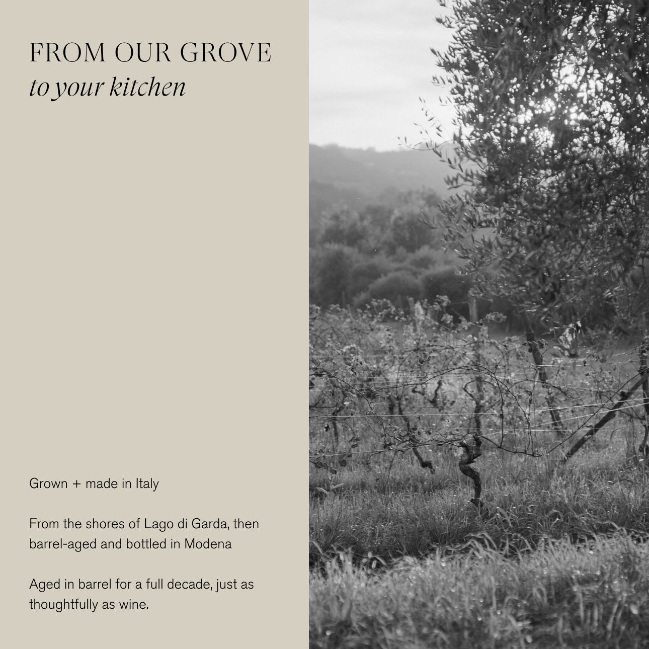 Le Marké - Wholesale Vinegar - Barrel-Aged Balsamic Vinegar / Case3