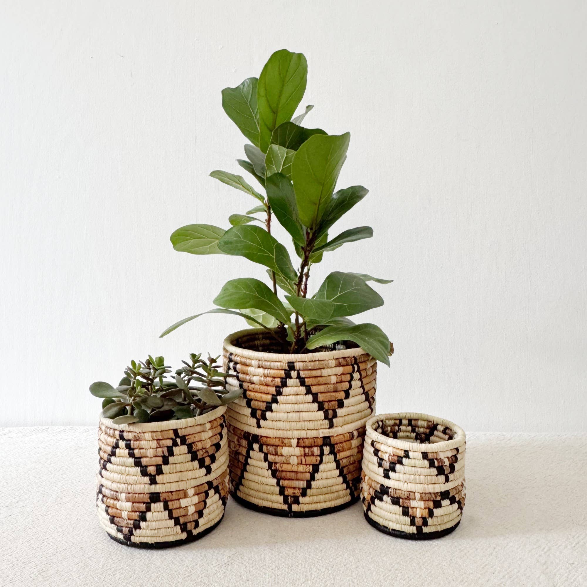 Amsha - Vendita all'ingrosso Cestini - Cesto per piante da stoccaggio: Busisi4