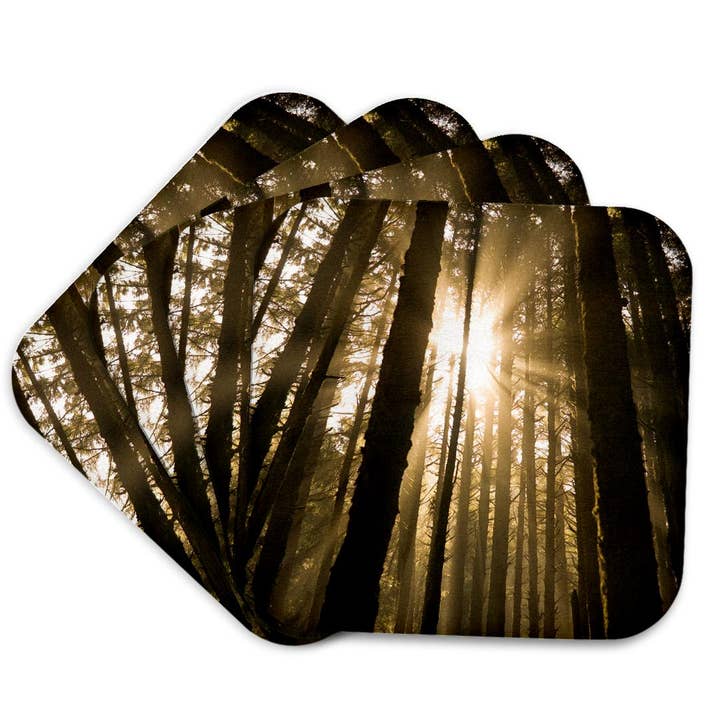 3dRose - Wholesale Coasters - 3dRose, Sunbeam in wooded rainforest, Olympic NP, WA, USA, Coaster7
