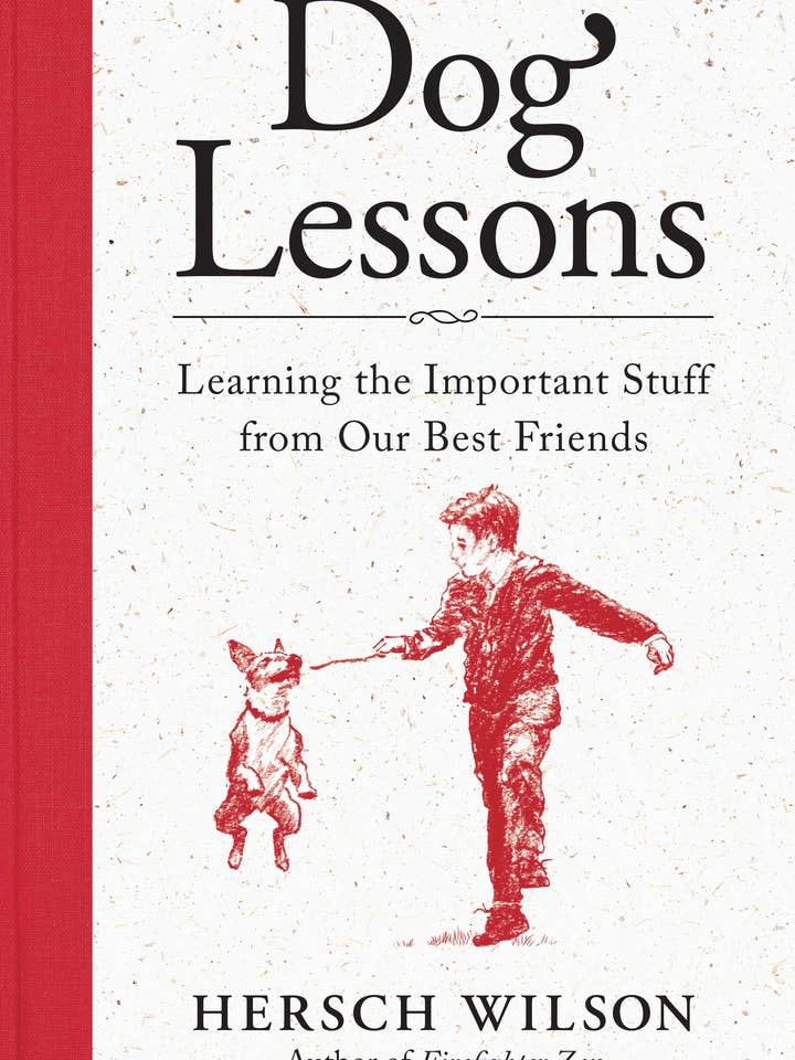 Hundlektioner HC för wholesale av New World Library