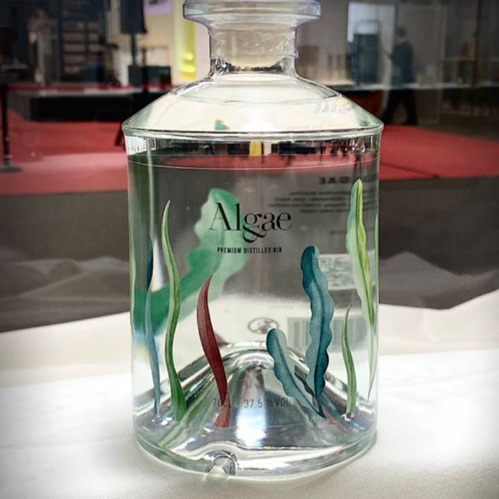 Algae Premium Gin - Wholesale Gin - Algae Premium Distilled Gin2