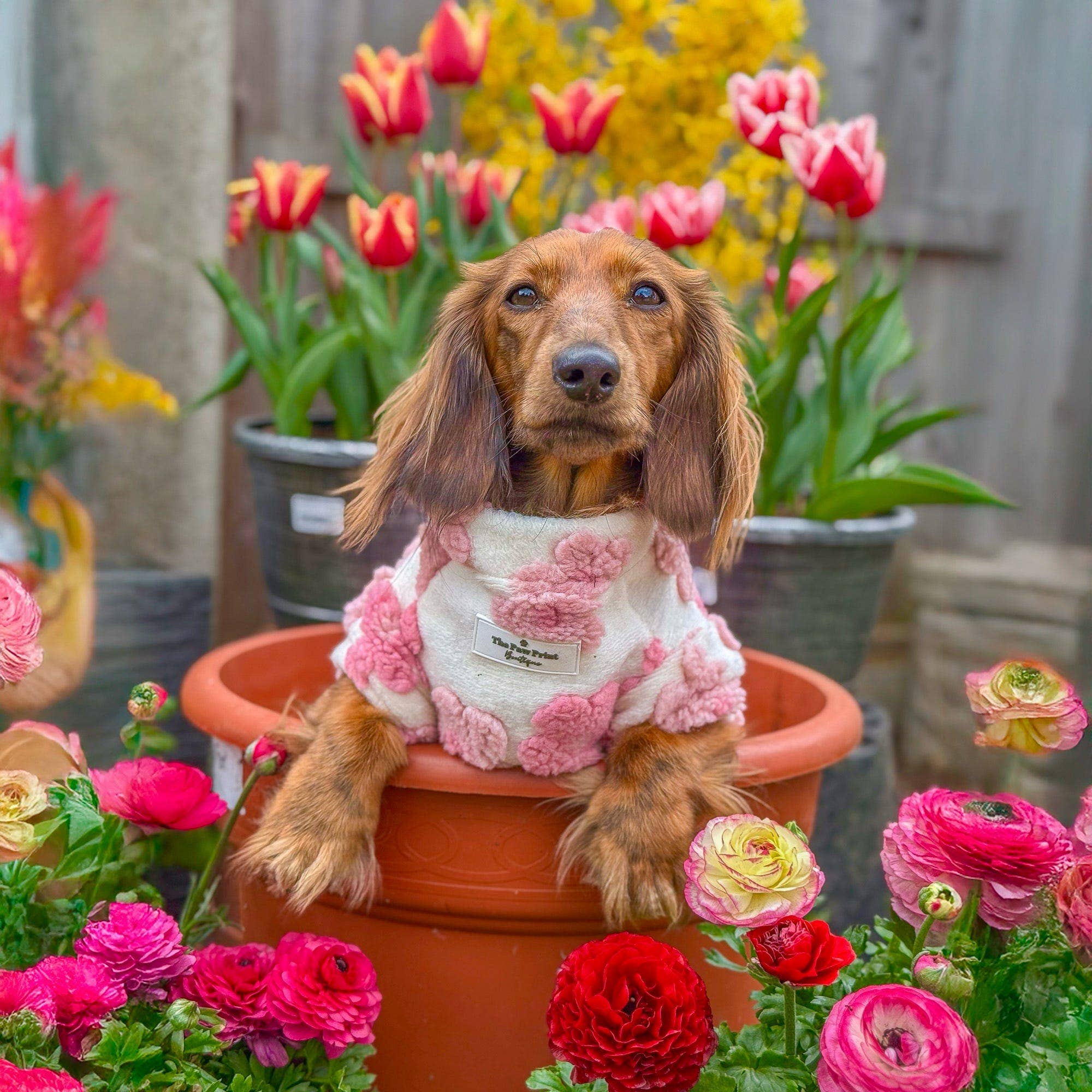 The Paw Print Boutique - Wholesale Pet Coat - Dog - The Peony Pink Floral Fleece6