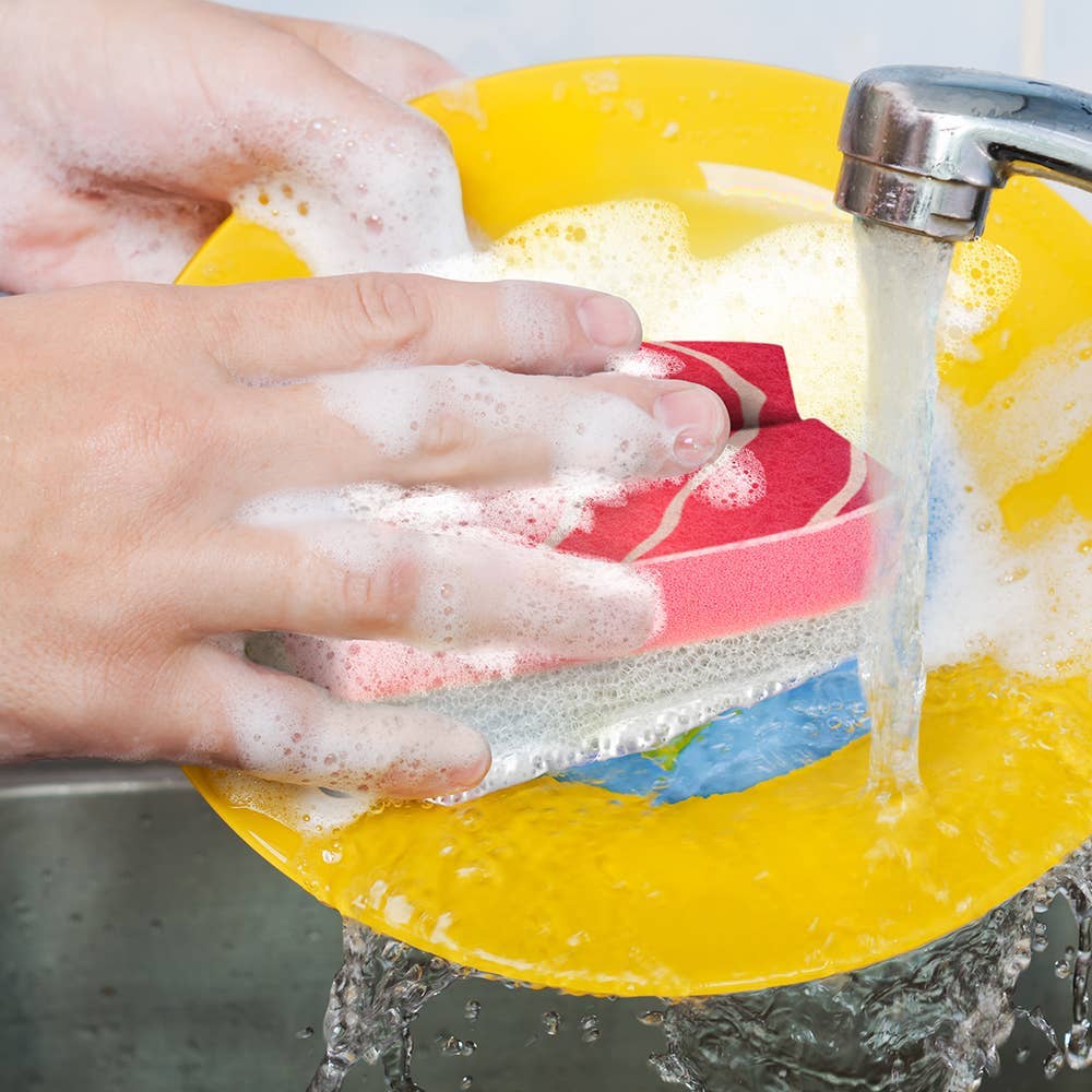 Fred & Friends - Wholesale Cleaning Sponge - Sponges - Washabi-32