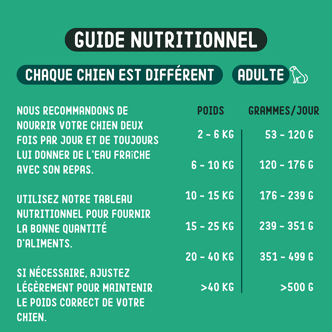 Imby Pet Food - Wholesale Voer - Hond - Groente krokante brokken voor honden4