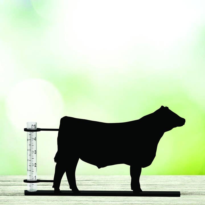 Show Steer Rain Gauge for wholesale by Steel Grace