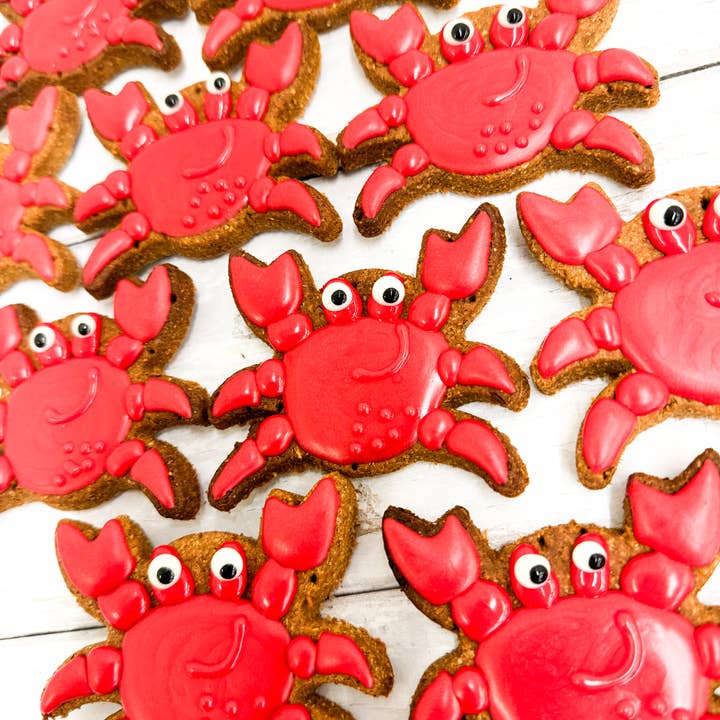 Nelson's Treats - Wholesale Pet Treats - Dog - Beach Treat