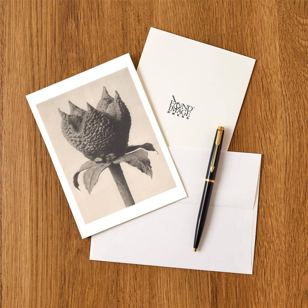 Found Image Press - Wholesale Stationery/Notecard Set - Greeting Card PL-31 Rue Fruit with Calyx1