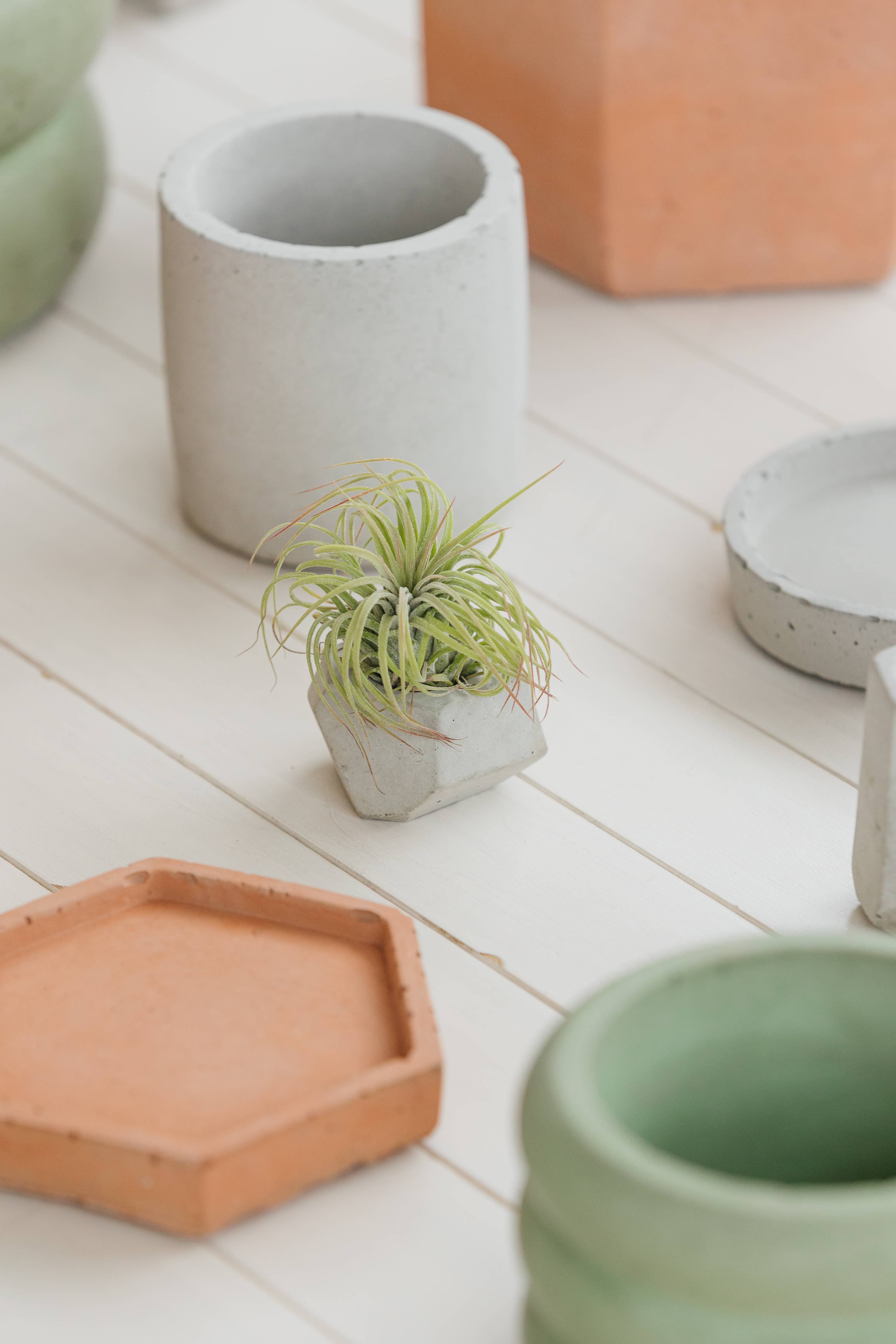 The Plant Supply - Wholesale Plant Pot - Concrete Air Plant Holders (Set of 3) | modern air plant pot5