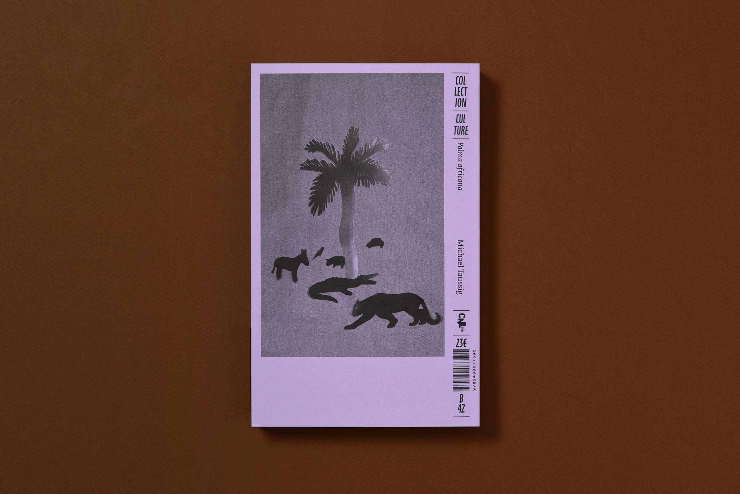 ÉDITIONS B42 - Vendita all'ingrosso Libro di scienze umane e cultura - Palma africana6