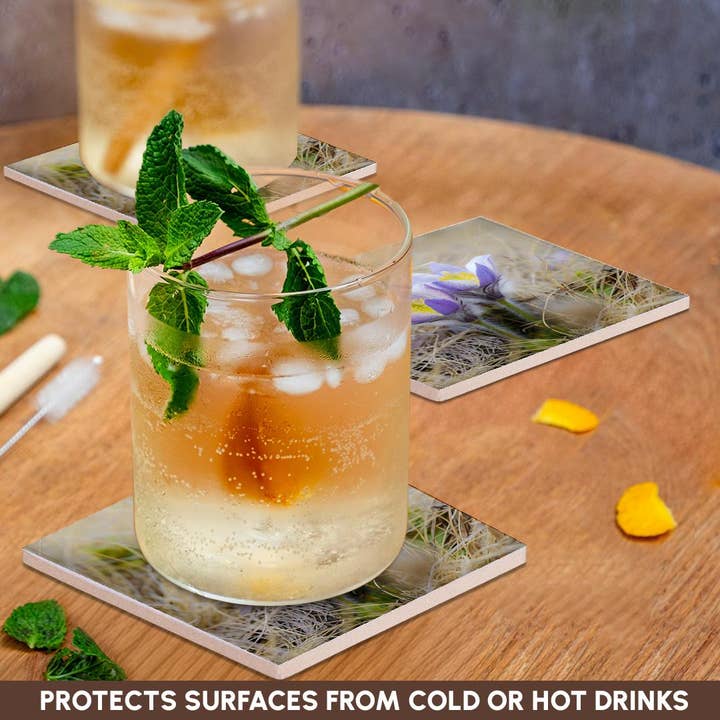 3dRose - Wholesale Coasters - 3dRose, Spring pasqueflower growing in mountains of Otztal Alps, Italy., Coaster2