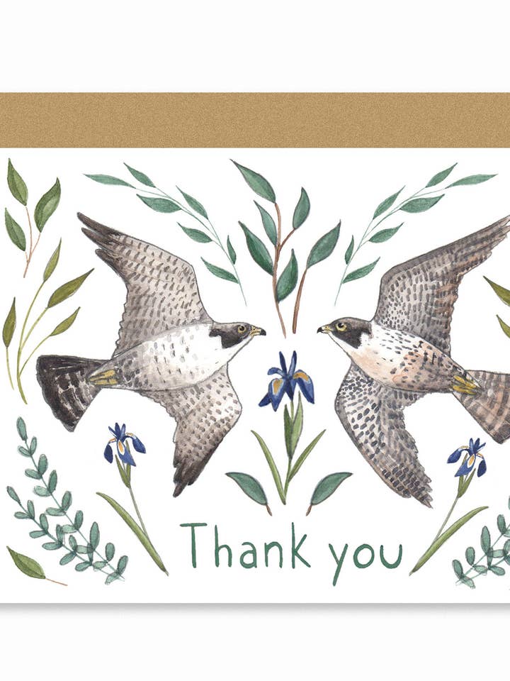 Peregrine Falcon Thank You Card for wholesale by Lindsay Blevins Illustration