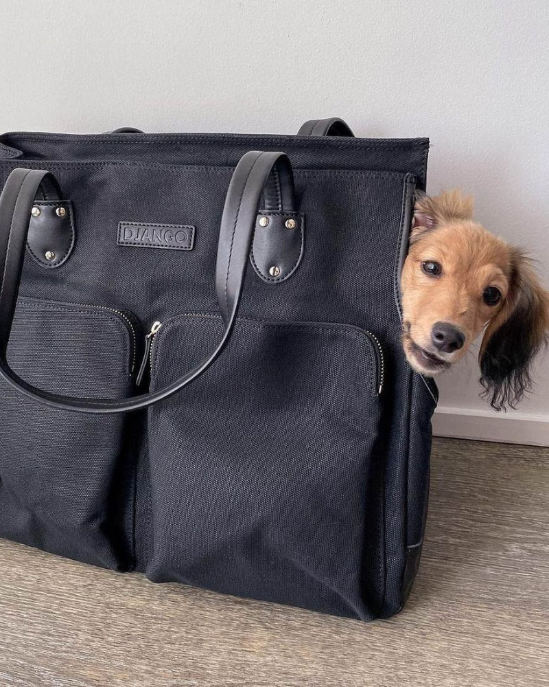 DJANGO - Wholesale Pet Carrier - Dog - Dog Carrier Bag - Black Waxed Canvas and Leather11