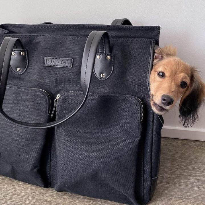 DJANGO - Wholesale Pet Carrier - Dog - Dog Carrier Bag - Black Waxed Canvas and Leather11