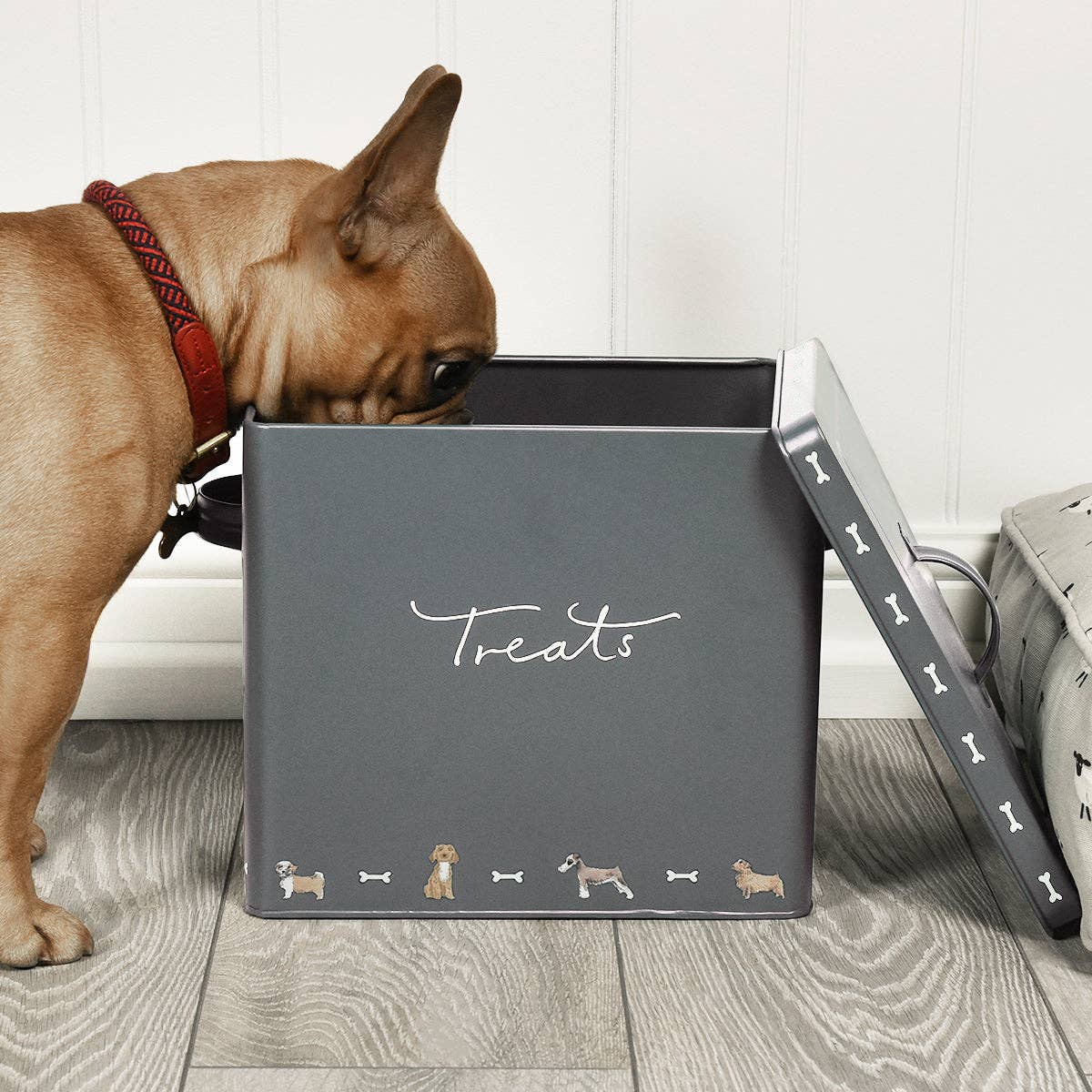 Sophie Allport - Wholesale Pet Treat Jar - Dog - Walkies Storage Tin6