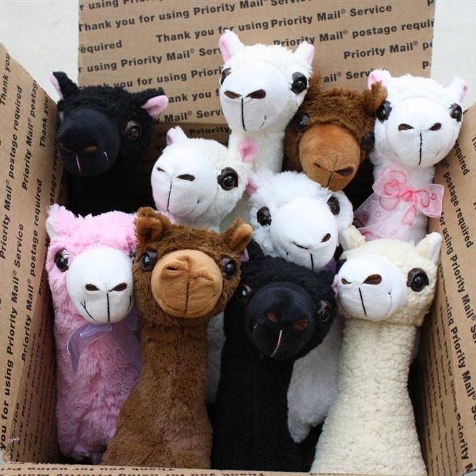 Choice Alpaca Products - Wholesale Stuffed/plush toy – Kids & baby - PacaBuddies Stuffed Alpaca Toys8