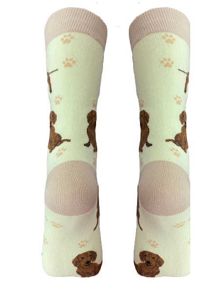 E&S Pets - Wholesale Socks - Unisex - Red Dachshund Socks - Fun Novelty Dog Socks - Unisex4