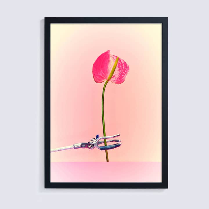 Eigentijdse pastelroze giclée-fotoprint van een leliestam voor wholesale door Ornament Art