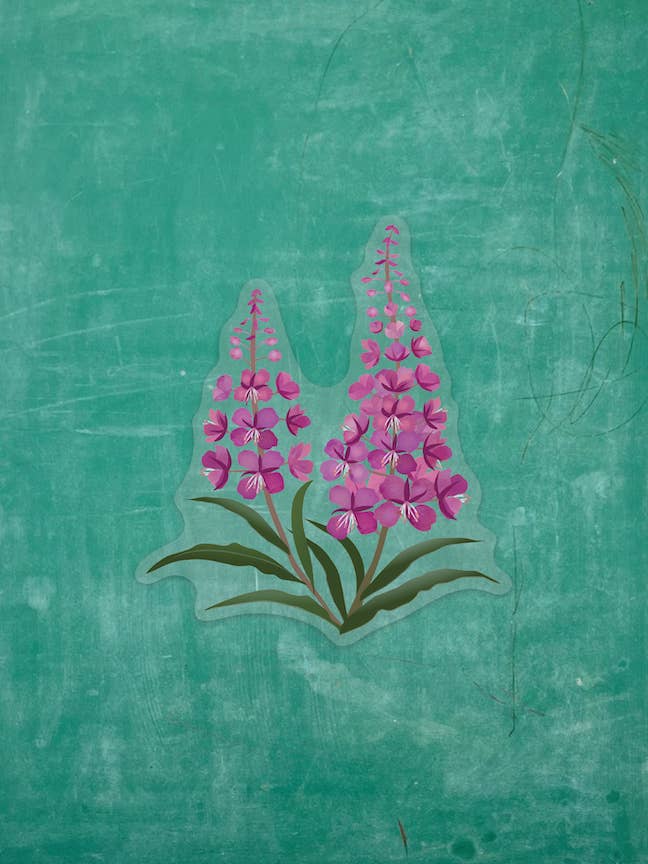 Double Fireweed - Clear Vinyl Sticker for wholesale by Wren and the Raven