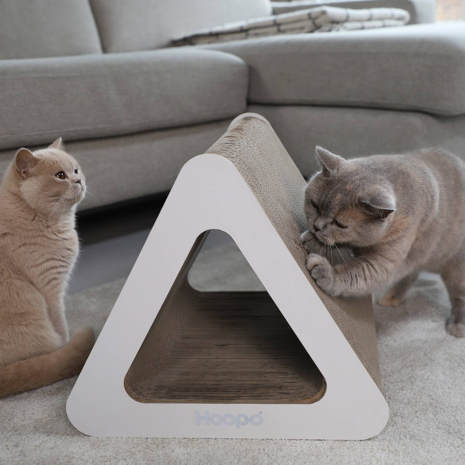 Hoopo - Wholesale Pet Scratcher - Cat - Triangle scratching furniture4