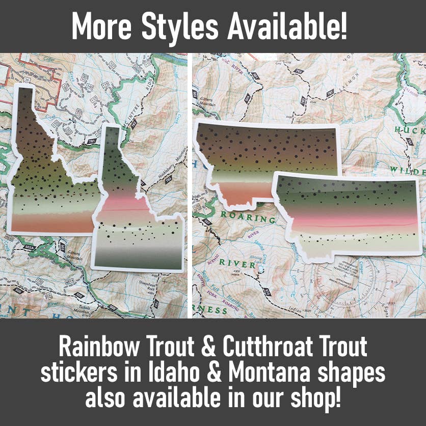 Sentinel Supply – wholesale Klistermärke – Regnbågsöring Montana Fiskedekal - Flugfiske dekal3