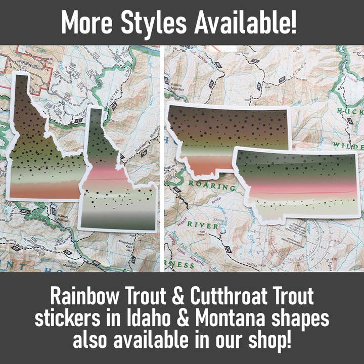Sentinel Supply – wholesale Klistermärke – Regnbågsöring Montana Fiskedekal - Flugfiske dekal3