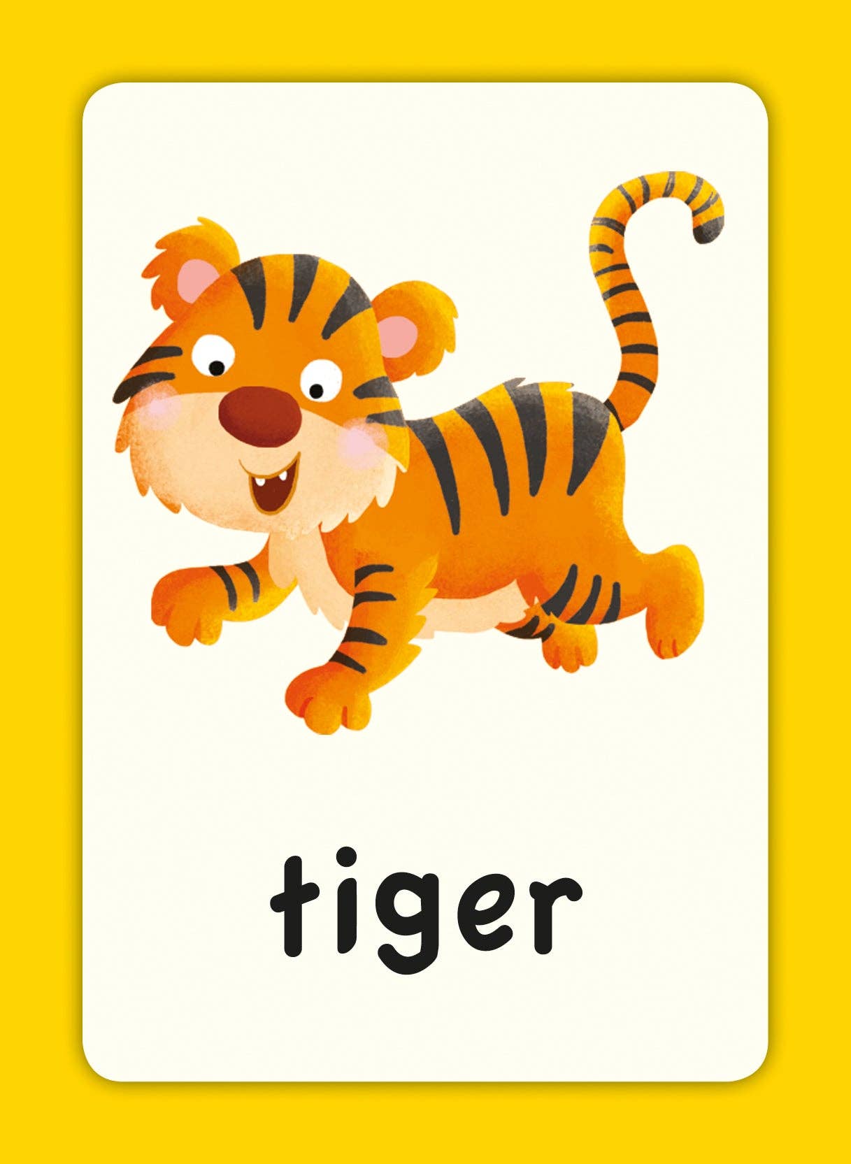 Robert Frederick Ltd - Wholesale Educatieve kaarten - Kinderen en baby - Eerste Woorden Flashcards voor Kinderen3